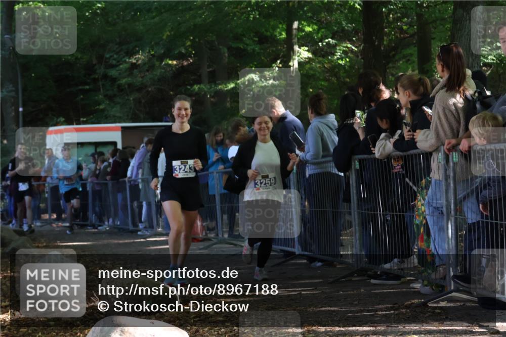 28.09.2025 - 33. Volkslauf durch das schöne Alstertal Strokosch-Dieckow http://msf.ph/oto/8967188 28.09.2025 11:40:36 Ziel 1553, 1575, 3243, 3259, 3264 meine-sportfotos.de