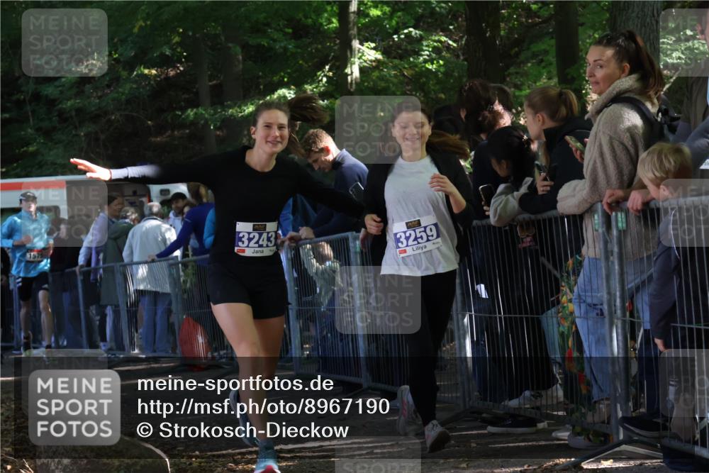 28.09.2025 - 33. Volkslauf durch das schöne Alstertal Strokosch-Dieckow http://msf.ph/oto/8967190 28.09.2025 11:40:37 Ziel 1553, 1575, 3243, 3259, 3264, 3409 meine-sportfotos.de