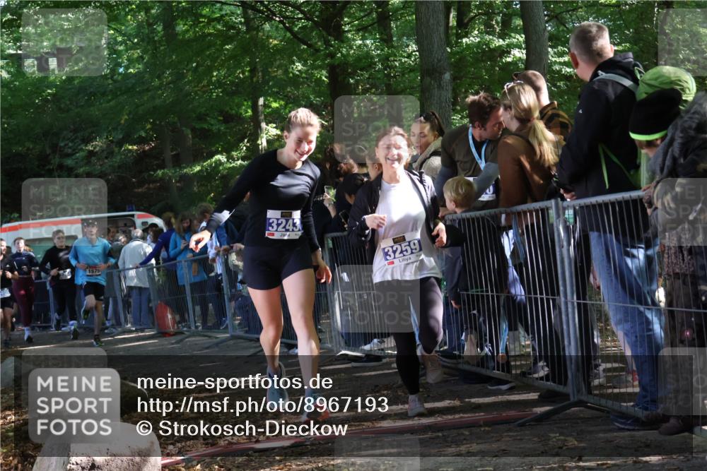 28.09.2025 - 33. Volkslauf durch das schöne Alstertal Strokosch-Dieckow http://msf.ph/oto/8967193 28.09.2025 11:40:38 Ziel 1553, 1575, 3238, 3243, 3259, 3264, 3409 meine-sportfotos.de