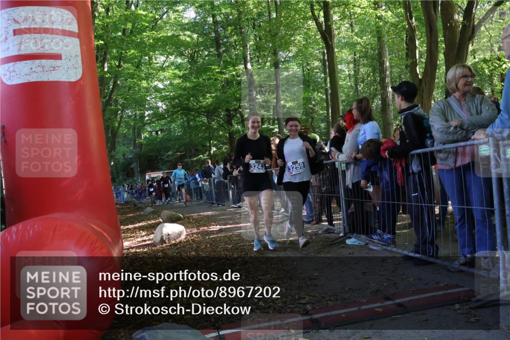 28.09.2025 - 33. Volkslauf durch das schöne Alstertal Strokosch-Dieckow http://msf.ph/oto/8967202 28.09.2025 11:40:39 Ziel 1553, 1575, 3238, 3243, 3259, 3264, 3409 meine-sportfotos.de