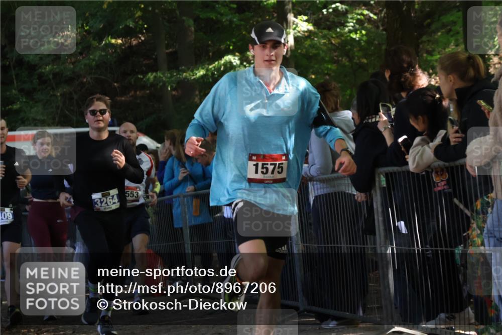 28.09.2025 - 33. Volkslauf durch das schöne Alstertal Strokosch-Dieckow http://msf.ph/oto/8967206 28.09.2025 11:40:41 Ziel 1553, 1575, 3238, 3264, 3409 meine-sportfotos.de