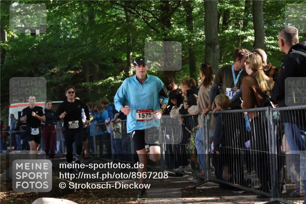 28.09.2025 - 33. Volkslauf durch das schöne Alstertal Strokosch-Dieckow http://msf.ph/oto/8967208 28.09.2025 11:40:42 Ziel 1553, 1575, 3238, 3264, 3409 meine-sportfotos.de