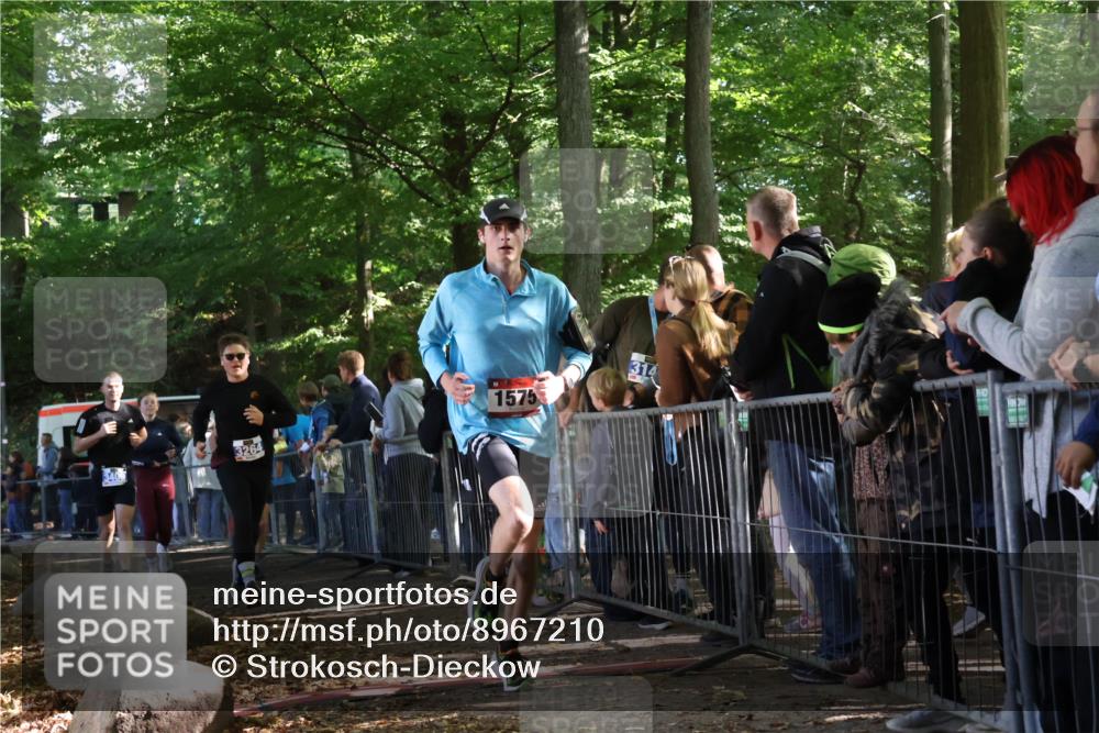 28.09.2025 - 33. Volkslauf durch das schöne Alstertal Strokosch-Dieckow http://msf.ph/oto/8967210 28.09.2025 11:40:42 Ziel 1553, 1575, 3238, 3264, 3409 meine-sportfotos.de