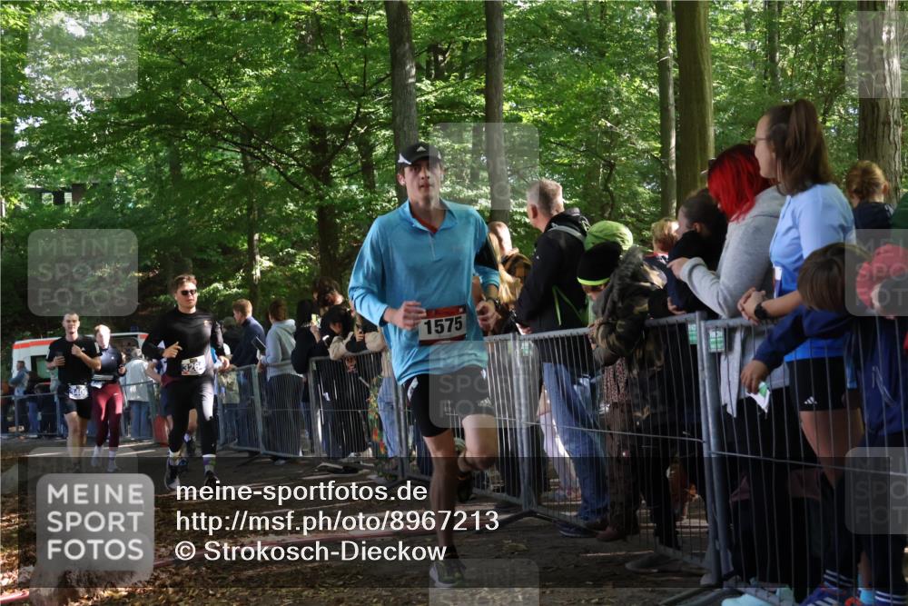 28.09.2025 - 33. Volkslauf durch das schöne Alstertal Strokosch-Dieckow http://msf.ph/oto/8967213 28.09.2025 11:40:42 Ziel 1553, 1575, 3238, 3264, 3409 meine-sportfotos.de