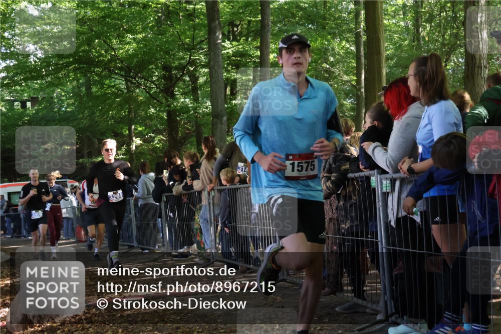 28.09.2025 - 33. Volkslauf durch das schöne Alstertal Strokosch-Dieckow http://msf.ph/oto/8967215 28.09.2025 11:40:43 Ziel 1553, 1575, 3238, 3264, 3409 meine-sportfotos.de