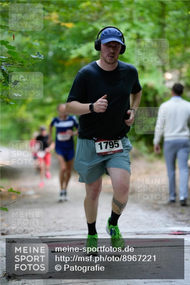 28.09.2025 - 33. Volkslauf durch das schöne Alstertal Patografie http://msf.ph/oto/8967221 28.09.2025 10:20:56 Laufen 1795 meine-sportfotos.de