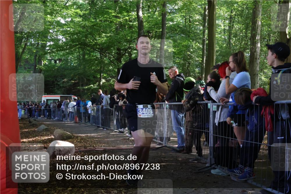 28.09.2025 - 33. Volkslauf durch das schöne Alstertal Strokosch-Dieckow http://msf.ph/oto/8967238 28.09.2025 11:40:47 Ziel 3238, 3409 meine-sportfotos.de