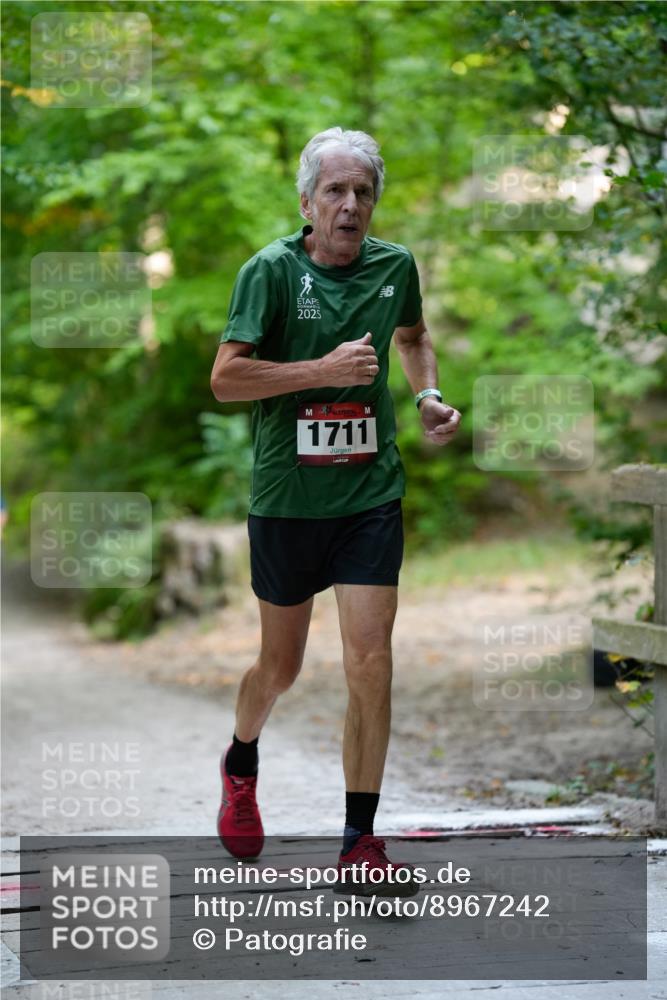28.09.2025 - 33. Volkslauf durch das schöne Alstertal Patografie http://msf.ph/oto/8967242 28.09.2025 10:22:28 Laufen 2025, 1711 meine-sportfotos.de