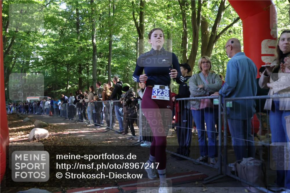 28.09.2025 - 33. Volkslauf durch das schöne Alstertal Strokosch-Dieckow http://msf.ph/oto/8967247 28.09.2025 11:40:48 Ziel 3139, 3238 meine-sportfotos.de