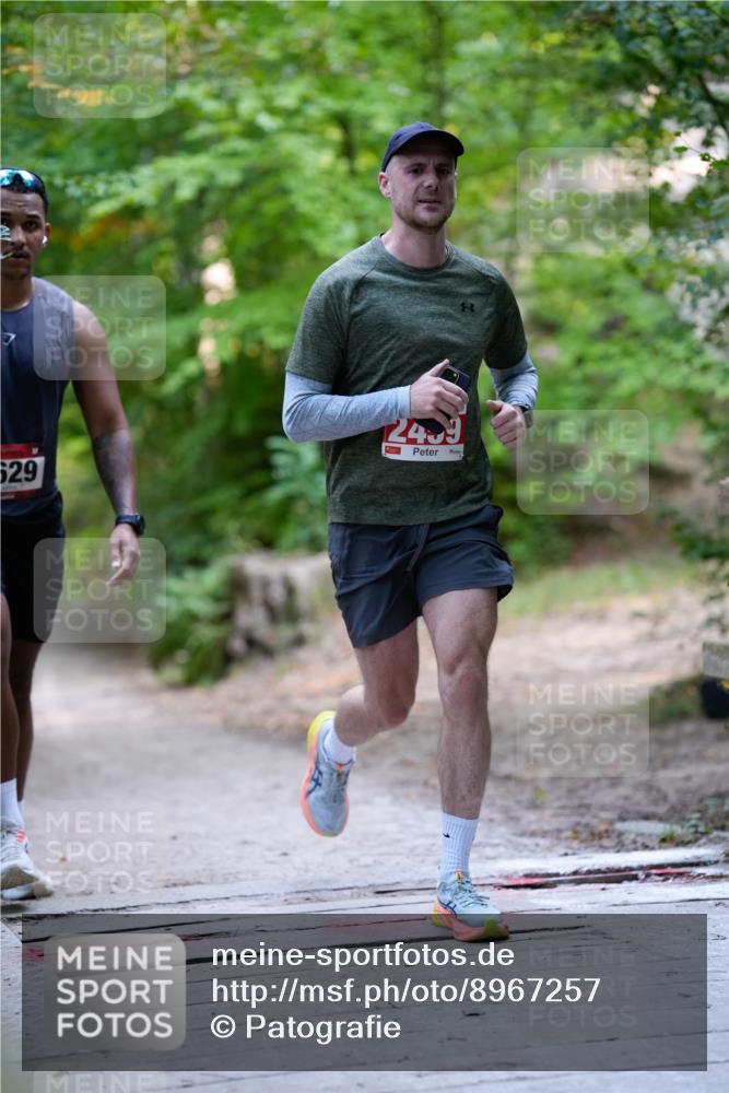 28.09.2025 - 33. Volkslauf durch das schöne Alstertal Patografie http://msf.ph/oto/8967257 28.09.2025 10:23:37 Laufen 529, 2459 meine-sportfotos.de