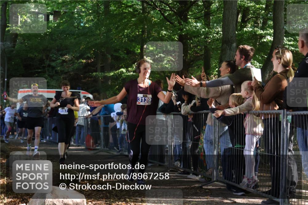 28.09.2025 - 33. Volkslauf durch das schöne Alstertal Strokosch-Dieckow http://msf.ph/oto/8967258 28.09.2025 11:40:56 Ziel 3139, 3157, 3911 meine-sportfotos.de