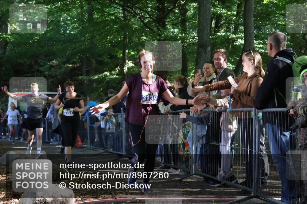 28.09.2025 - 33. Volkslauf durch das schöne Alstertal Strokosch-Dieckow http://msf.ph/oto/8967260 28.09.2025 11:40:57 Ziel 3057, 3058, 3139, 3157, 3911 meine-sportfotos.de
