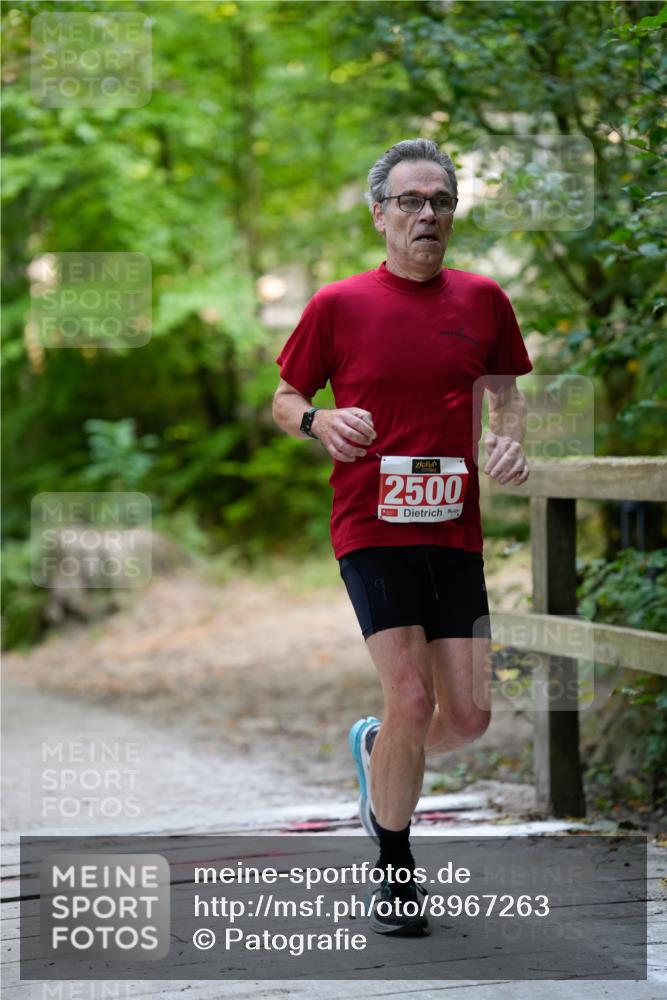 28.09.2025 - 33. Volkslauf durch das schöne Alstertal Patografie http://msf.ph/oto/8967263 28.09.2025 10:23:52 Laufen 2500 meine-sportfotos.de