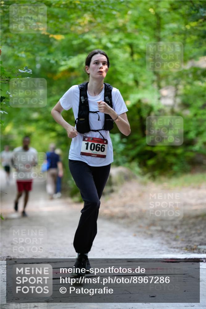 28.09.2025 - 33. Volkslauf durch das schöne Alstertal Patografie http://msf.ph/oto/8967286 28.09.2025 10:26:16 Laufen 1066 meine-sportfotos.de