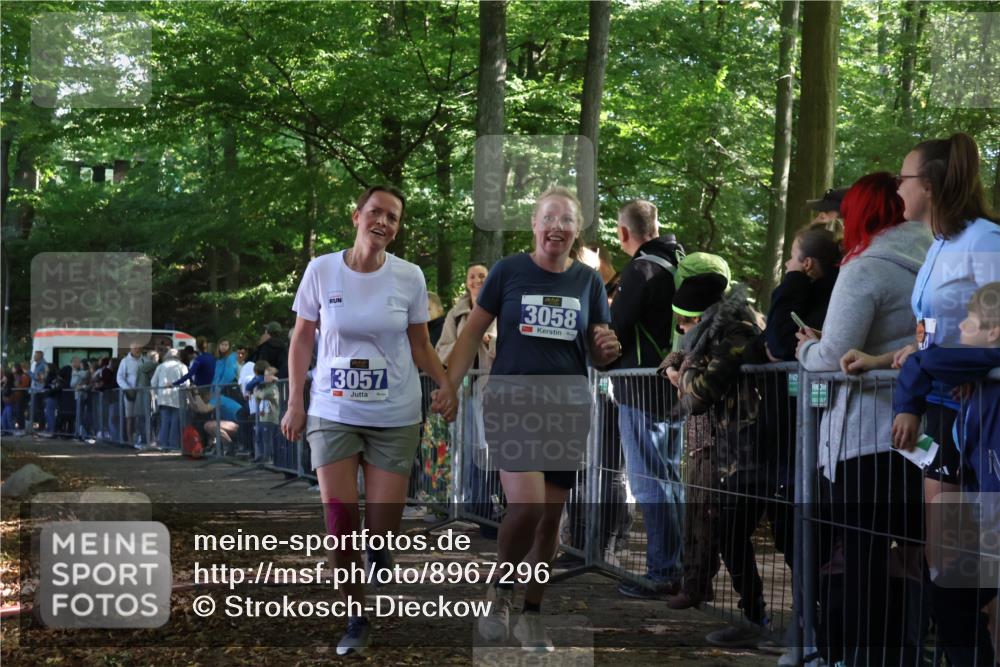 28.09.2025 - 33. Volkslauf durch das schöne Alstertal Strokosch-Dieckow http://msf.ph/oto/8967296 28.09.2025 11:41:06 Ziel 1556, 3057, 3058 meine-sportfotos.de