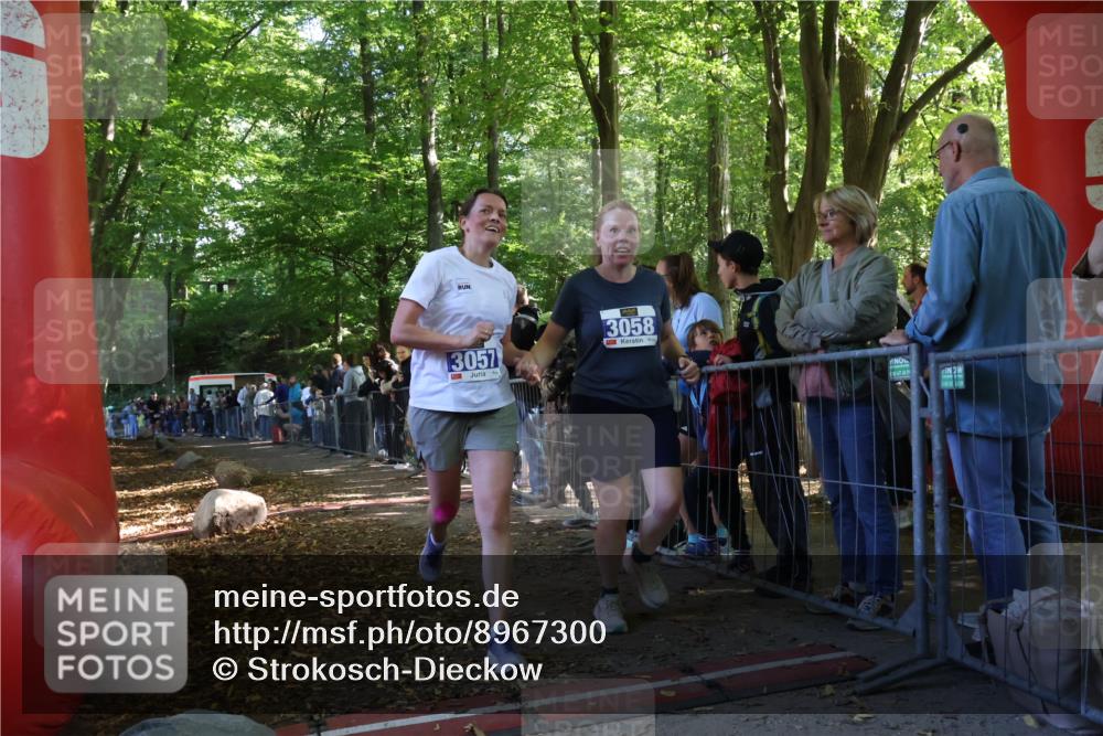 28.09.2025 - 33. Volkslauf durch das schöne Alstertal Strokosch-Dieckow http://msf.ph/oto/8967300 28.09.2025 11:41:07 Ziel 1556, 3057, 3058 meine-sportfotos.de