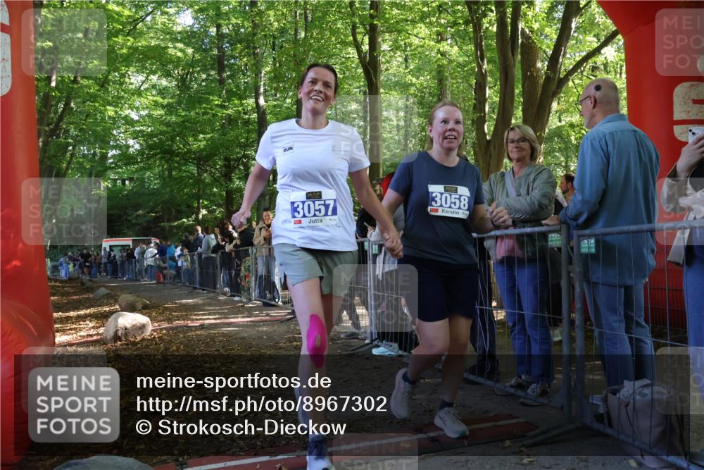 28.09.2025 - 33. Volkslauf durch das schöne Alstertal Strokosch-Dieckow http://msf.ph/oto/8967302 28.09.2025 11:41:07 Ziel 1556, 3057, 3058 meine-sportfotos.de