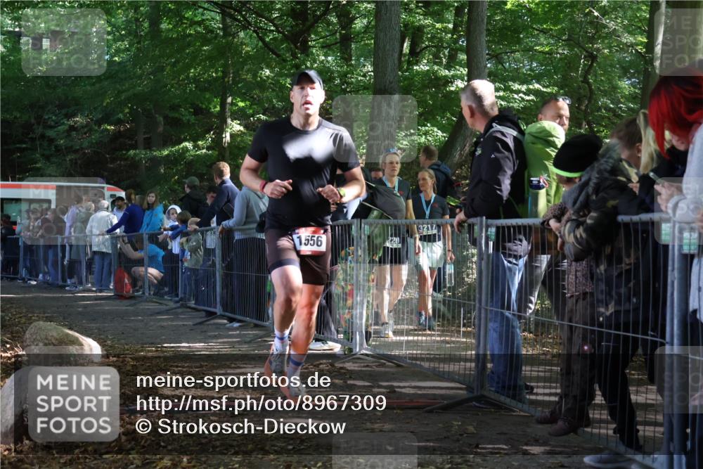 28.09.2025 - 33. Volkslauf durch das schöne Alstertal Strokosch-Dieckow http://msf.ph/oto/8967309 28.09.2025 11:41:14 Ziel 1556 meine-sportfotos.de