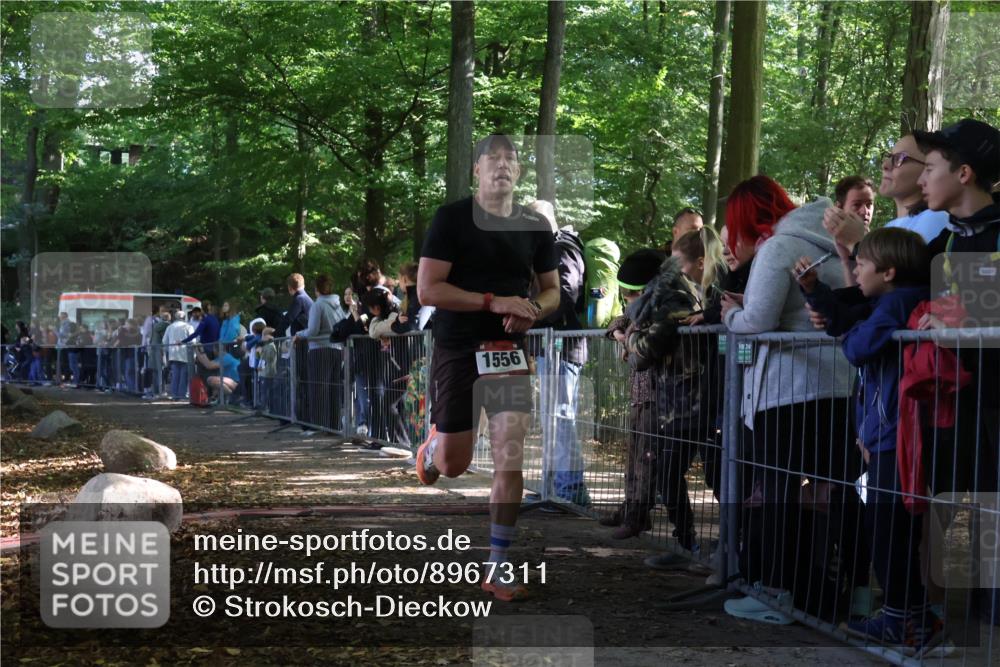 28.09.2025 - 33. Volkslauf durch das schöne Alstertal Strokosch-Dieckow http://msf.ph/oto/8967311 28.09.2025 11:41:14 Ziel 1556 meine-sportfotos.de