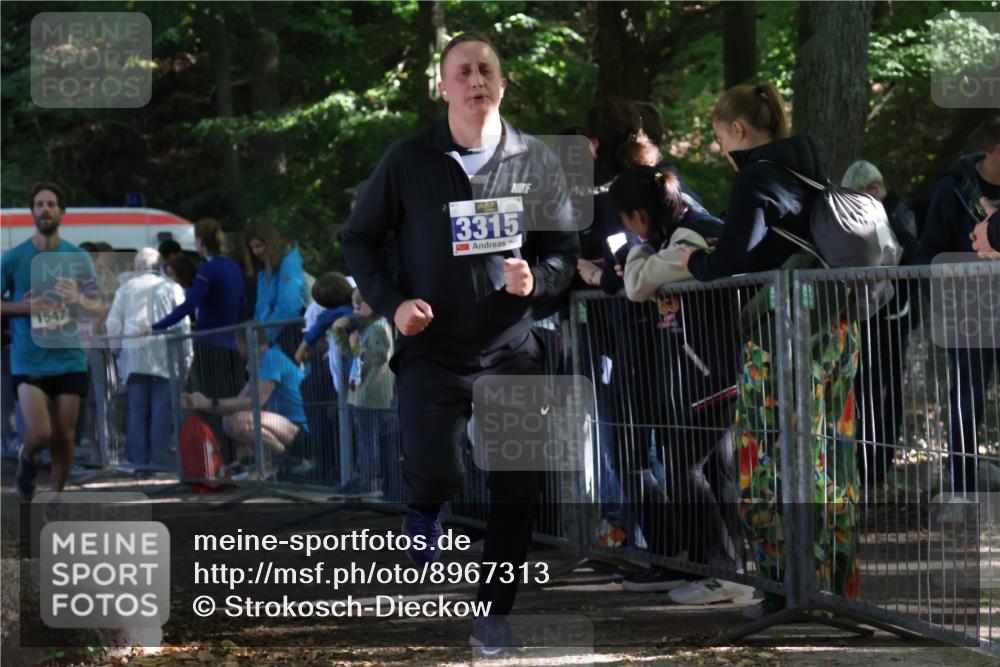 28.09.2025 - 33. Volkslauf durch das schöne Alstertal Strokosch-Dieckow http://msf.ph/oto/8967313 28.09.2025 11:41:25 Ziel 1547, 3195, 3315 meine-sportfotos.de