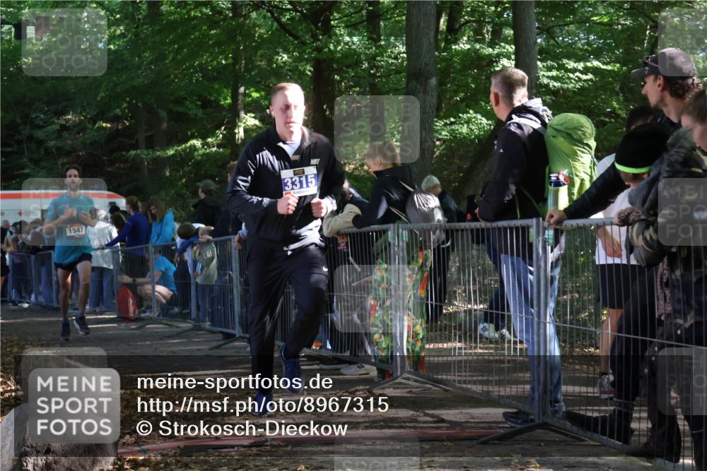 28.09.2025 - 33. Volkslauf durch das schöne Alstertal Strokosch-Dieckow http://msf.ph/oto/8967315 28.09.2025 11:41:25 Ziel 1547, 3195, 3315 meine-sportfotos.de