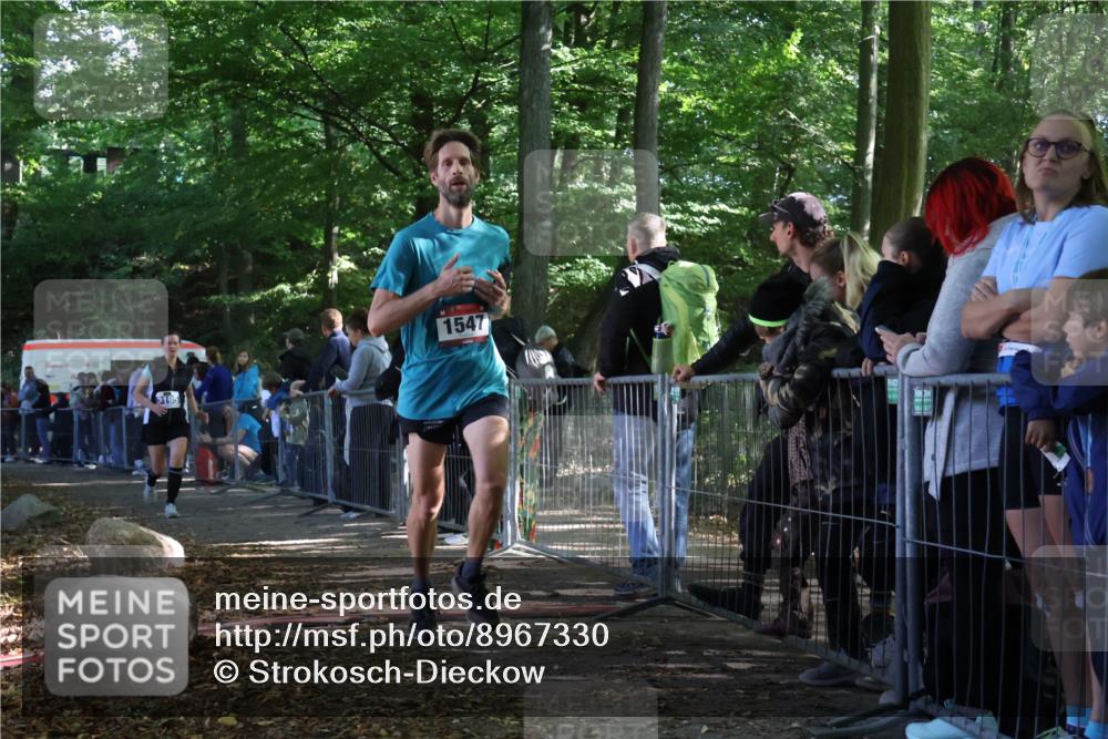 28.09.2025 - 33. Volkslauf durch das schöne Alstertal Strokosch-Dieckow http://msf.ph/oto/8967330 28.09.2025 11:41:29 Ziel 1547, 3195 meine-sportfotos.de