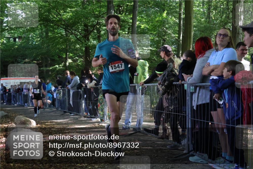 28.09.2025 - 33. Volkslauf durch das schöne Alstertal Strokosch-Dieckow http://msf.ph/oto/8967332 28.09.2025 11:41:29 Ziel 1547, 3195 meine-sportfotos.de