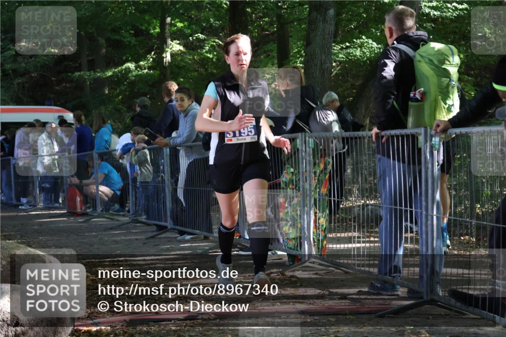 28.09.2025 - 33. Volkslauf durch das schöne Alstertal Strokosch-Dieckow http://msf.ph/oto/8967340 28.09.2025 11:41:32 Ziel 3195 meine-sportfotos.de