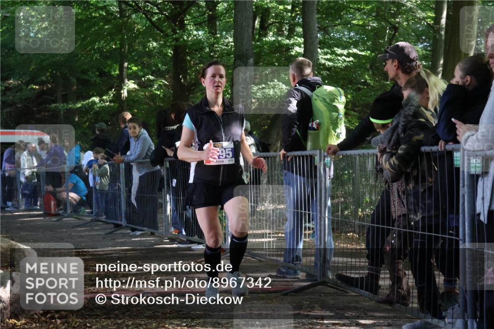 28.09.2025 - 33. Volkslauf durch das schöne Alstertal Strokosch-Dieckow http://msf.ph/oto/8967342 28.09.2025 11:41:32 Ziel 3195 meine-sportfotos.de