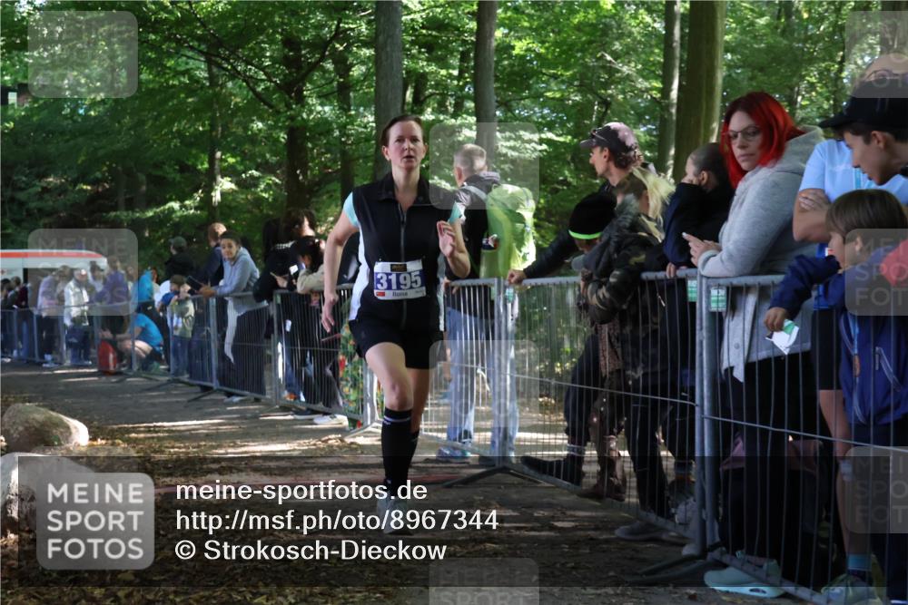 28.09.2025 - 33. Volkslauf durch das schöne Alstertal Strokosch-Dieckow http://msf.ph/oto/8967344 28.09.2025 11:41:33 Ziel 3195 meine-sportfotos.de