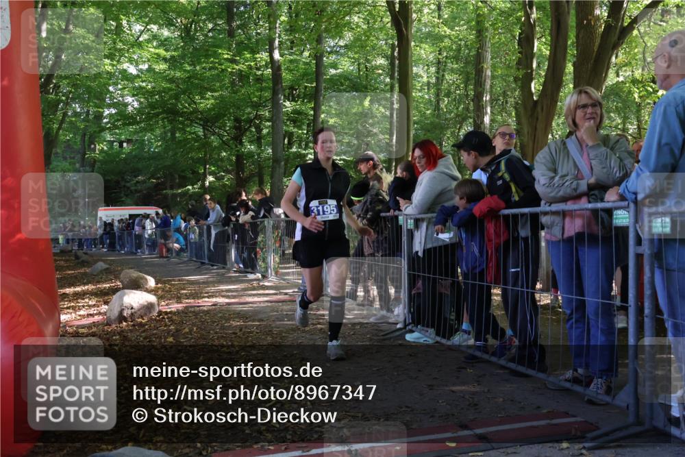 28.09.2025 - 33. Volkslauf durch das schöne Alstertal Strokosch-Dieckow http://msf.ph/oto/8967347 28.09.2025 11:41:33 Ziel 3195 meine-sportfotos.de