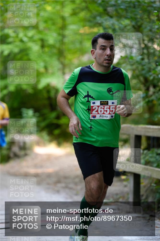 28.09.2025 - 33. Volkslauf durch das schöne Alstertal Patografie http://msf.ph/oto/8967350 28.09.2025 10:35:08 Laufen 2655 meine-sportfotos.de