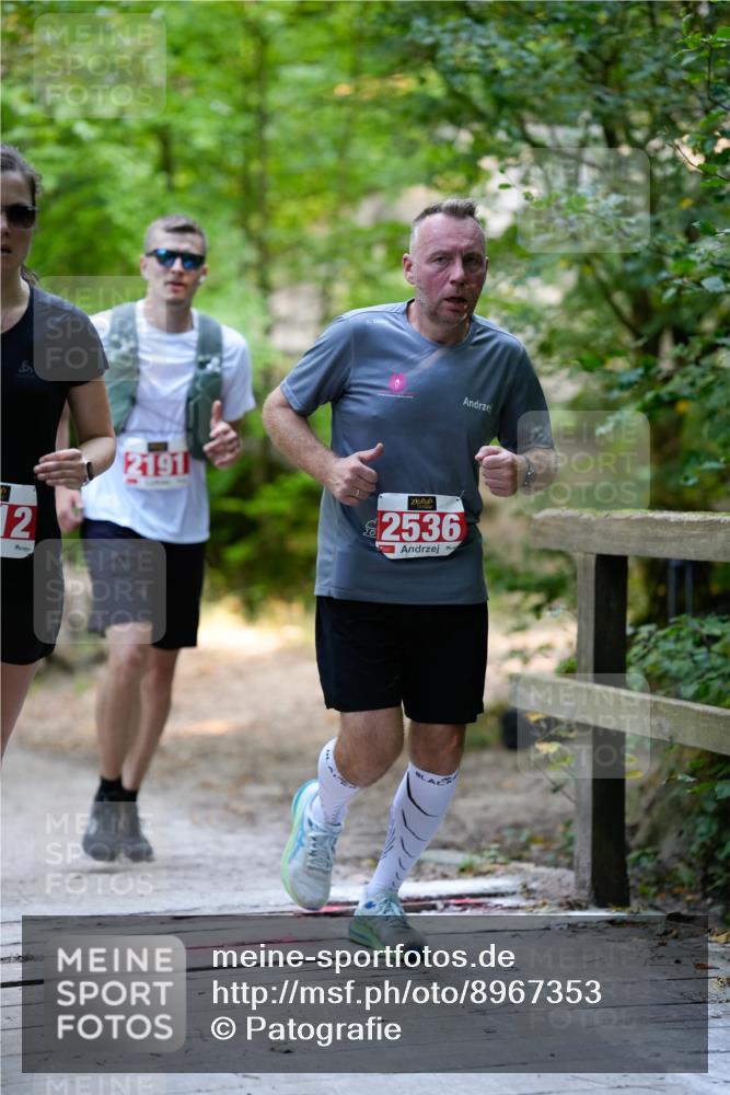 28.09.2025 - 33. Volkslauf durch das schöne Alstertal Patografie http://msf.ph/oto/8967353 28.09.2025 10:35:25 Laufen 12, 2191, 2536 meine-sportfotos.de
