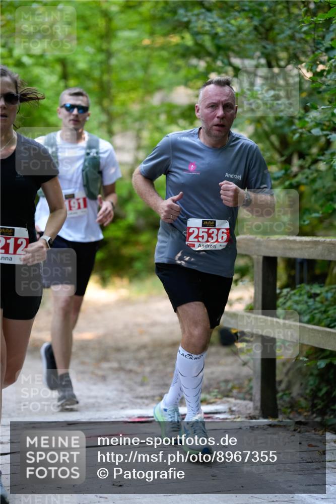 28.09.2025 - 33. Volkslauf durch das schöne Alstertal Patografie http://msf.ph/oto/8967355 28.09.2025 10:35:25 Laufen 212, 2536 meine-sportfotos.de
