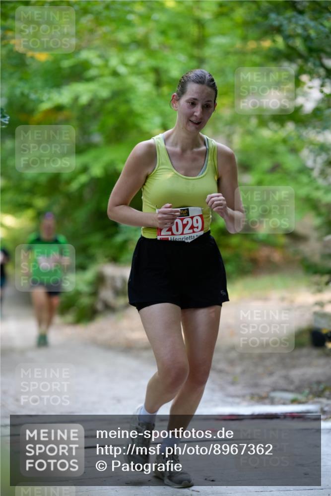 28.09.2025 - 33. Volkslauf durch das schöne Alstertal Patografie http://msf.ph/oto/8967362 28.09.2025 10:36:01 Laufen 2029 meine-sportfotos.de