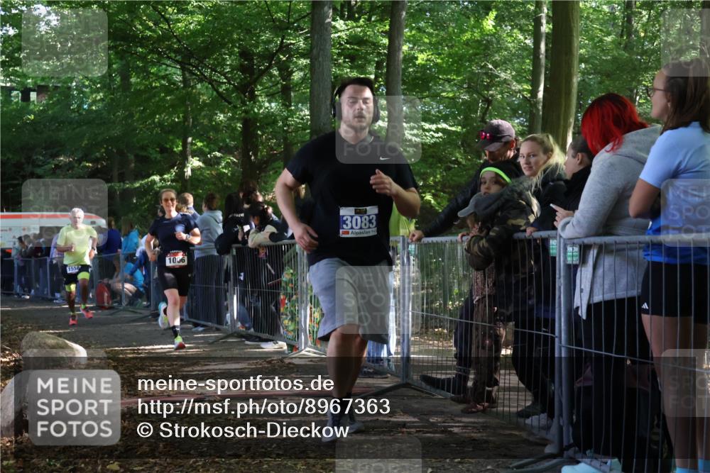 28.09.2025 - 33. Volkslauf durch das schöne Alstertal Strokosch-Dieckow http://msf.ph/oto/8967363 28.09.2025 11:41:48 Ziel 1006, 1558, 3083, 3253 meine-sportfotos.de