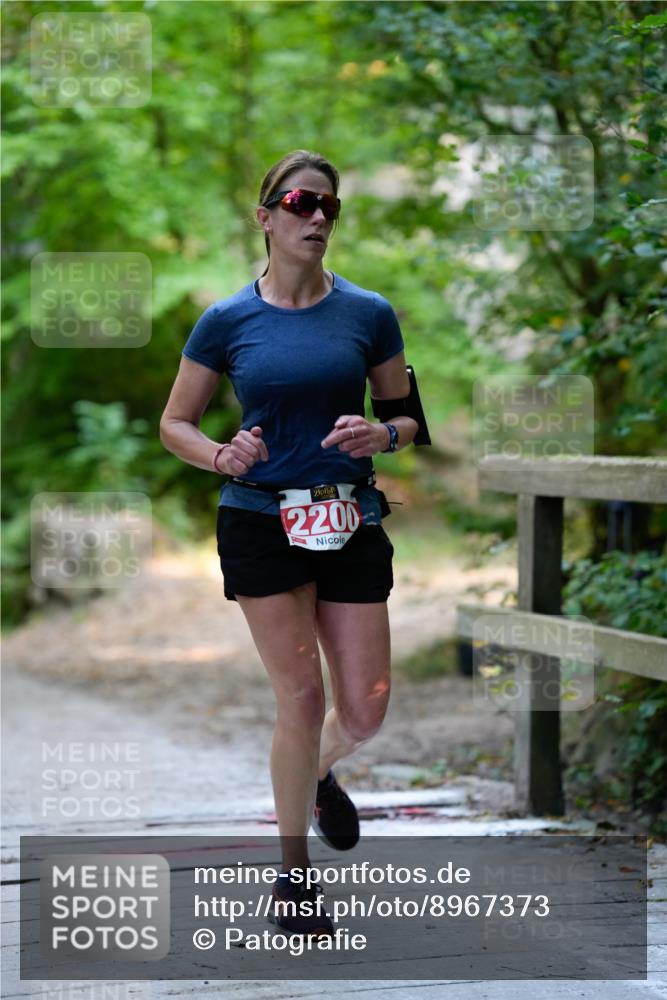 28.09.2025 - 33. Volkslauf durch das schöne Alstertal Patografie http://msf.ph/oto/8967373 28.09.2025 10:36:18 Laufen 2200 meine-sportfotos.de