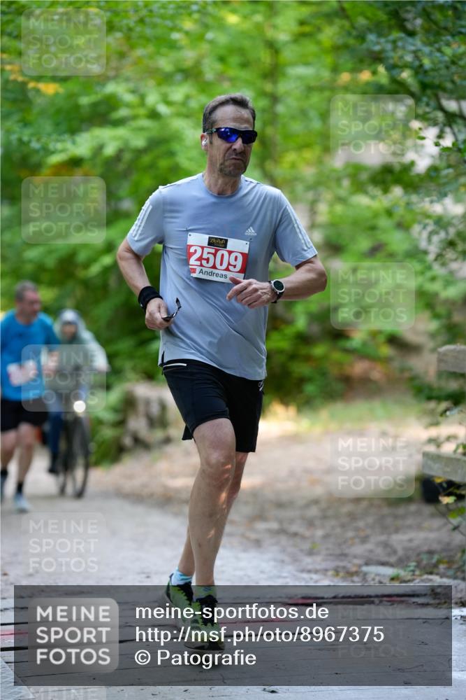 28.09.2025 - 33. Volkslauf durch das schöne Alstertal Patografie http://msf.ph/oto/8967375 28.09.2025 10:36:20 Laufen 2509 meine-sportfotos.de