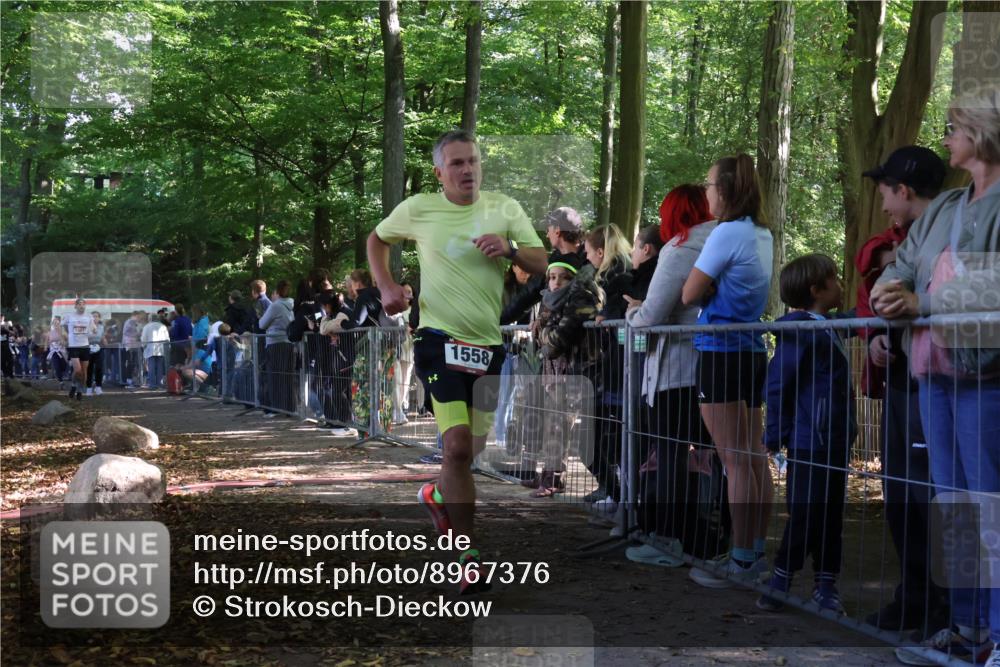 28.09.2025 - 33. Volkslauf durch das schöne Alstertal Strokosch-Dieckow http://msf.ph/oto/8967376 28.09.2025 11:41:51 Ziel 1006, 1558, 1801, 3047, 3253, 3269 meine-sportfotos.de