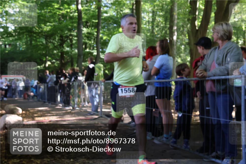 28.09.2025 - 33. Volkslauf durch das schöne Alstertal Strokosch-Dieckow http://msf.ph/oto/8967378 28.09.2025 11:41:52 Ziel 1558, 1584, 1766, 1801, 3028, 3047, 3253, 3269 meine-sportfotos.de