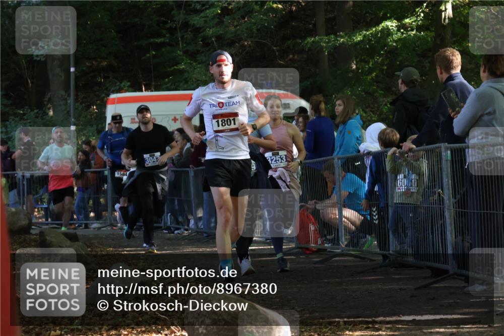 28.09.2025 - 33. Volkslauf durch das schöne Alstertal Strokosch-Dieckow http://msf.ph/oto/8967380 28.09.2025 11:41:54 Ziel 1584, 1766, 1801, 3028, 3047, 3253, 3269 meine-sportfotos.de