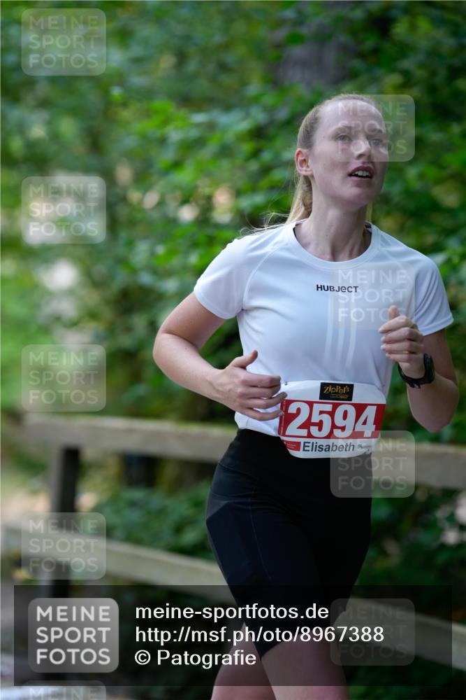 28.09.2025 - 33. Volkslauf durch das schöne Alstertal Patografie http://msf.ph/oto/8967388 28.09.2025 10:37:12 Laufen 2594 meine-sportfotos.de