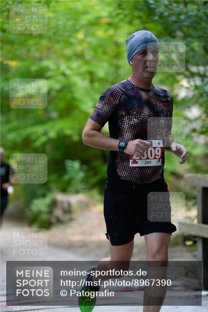 28.09.2025 - 33. Volkslauf durch das schöne Alstertal Patografie http://msf.ph/oto/8967390 28.09.2025 10:37:14 Laufen 309 meine-sportfotos.de