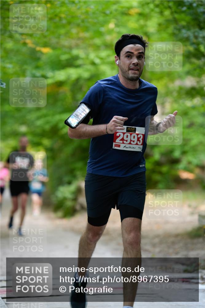 28.09.2025 - 33. Volkslauf durch das schöne Alstertal Patografie http://msf.ph/oto/8967395 28.09.2025 10:38:14 Laufen 2, 2993 meine-sportfotos.de