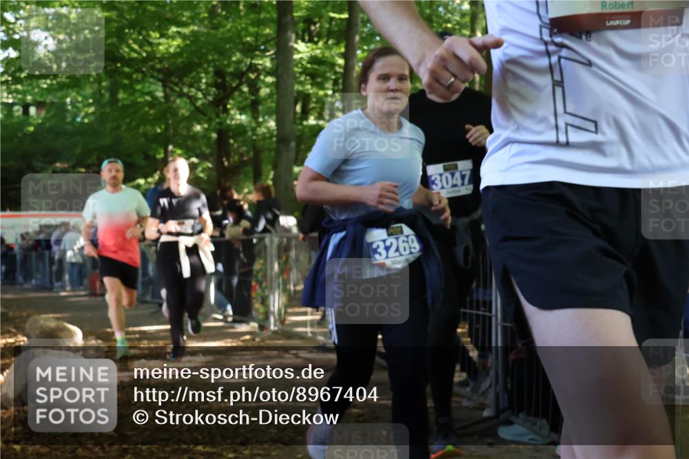 28.09.2025 - 33. Volkslauf durch das schöne Alstertal Strokosch-Dieckow http://msf.ph/oto/8967404 28.09.2025 11:42:00 Ziel 1584, 1766, 3028, 3047 meine-sportfotos.de