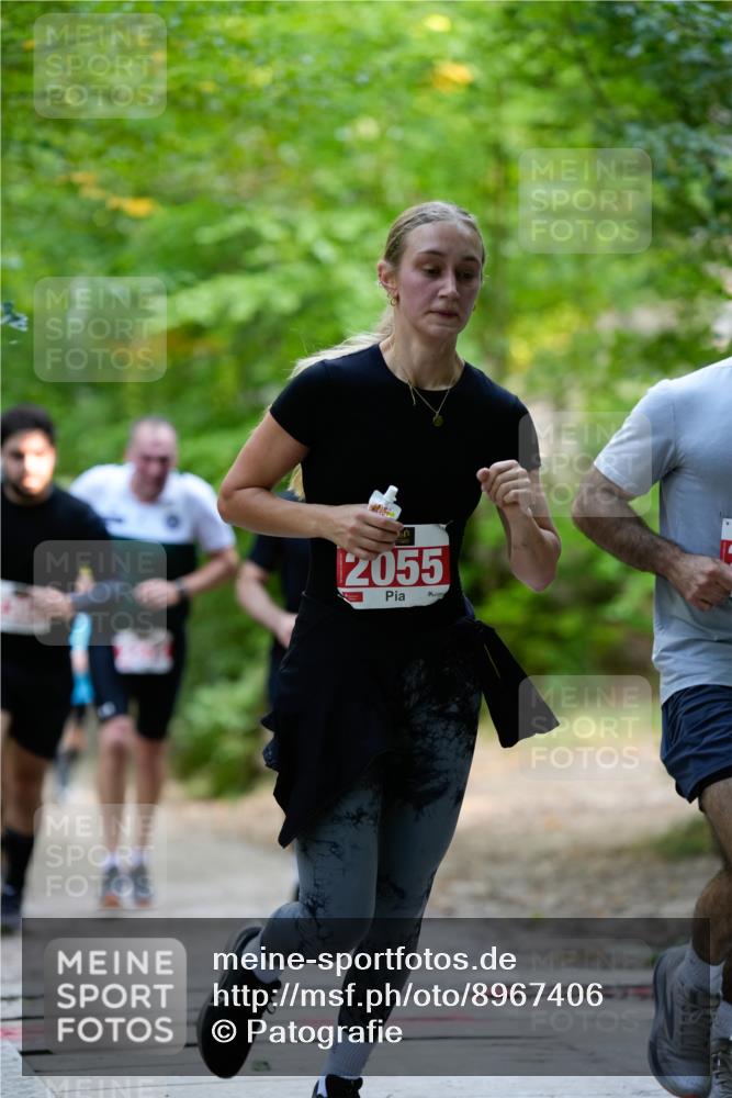 28.09.2025 - 33. Volkslauf durch das schöne Alstertal Patografie http://msf.ph/oto/8967406 28.09.2025 10:40:08 Laufen 28, 2055 meine-sportfotos.de