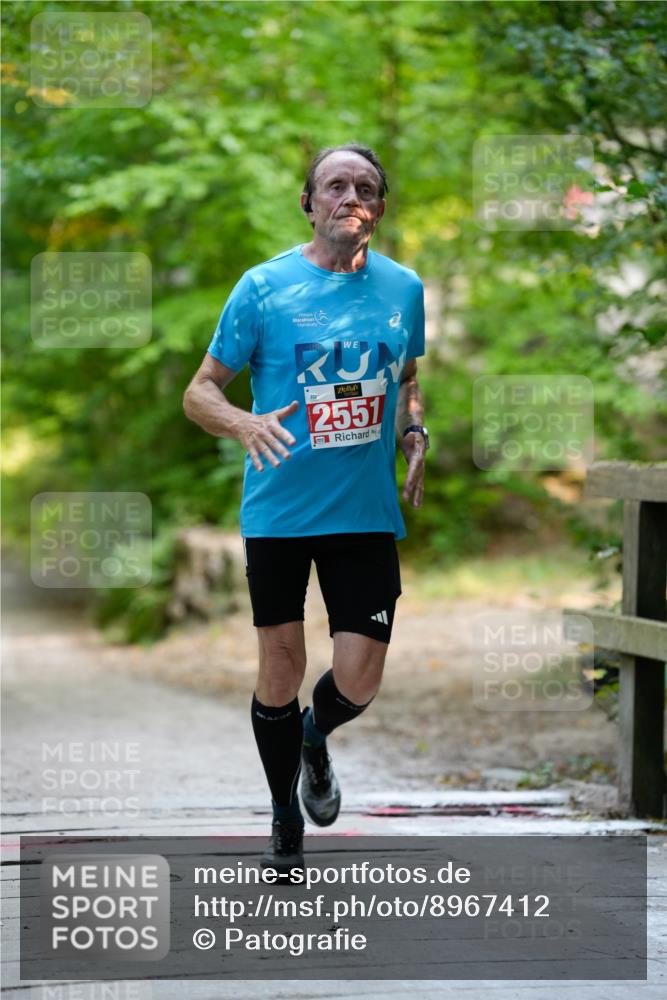 28.09.2025 - 33. Volkslauf durch das schöne Alstertal Patografie http://msf.ph/oto/8967412 28.09.2025 10:40:14 Laufen 2551 meine-sportfotos.de