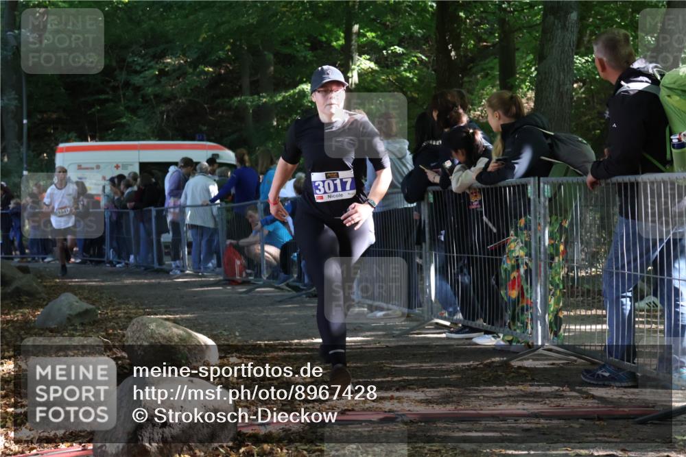 28.09.2025 - 33. Volkslauf durch das schöne Alstertal Strokosch-Dieckow http://msf.ph/oto/8967428 28.09.2025 11:42:12 Ziel 1541, 2506, 3017 meine-sportfotos.de