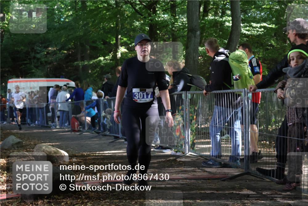 28.09.2025 - 33. Volkslauf durch das schöne Alstertal Strokosch-Dieckow http://msf.ph/oto/8967430 28.09.2025 11:42:13 Ziel 1541, 2506, 3017 meine-sportfotos.de
