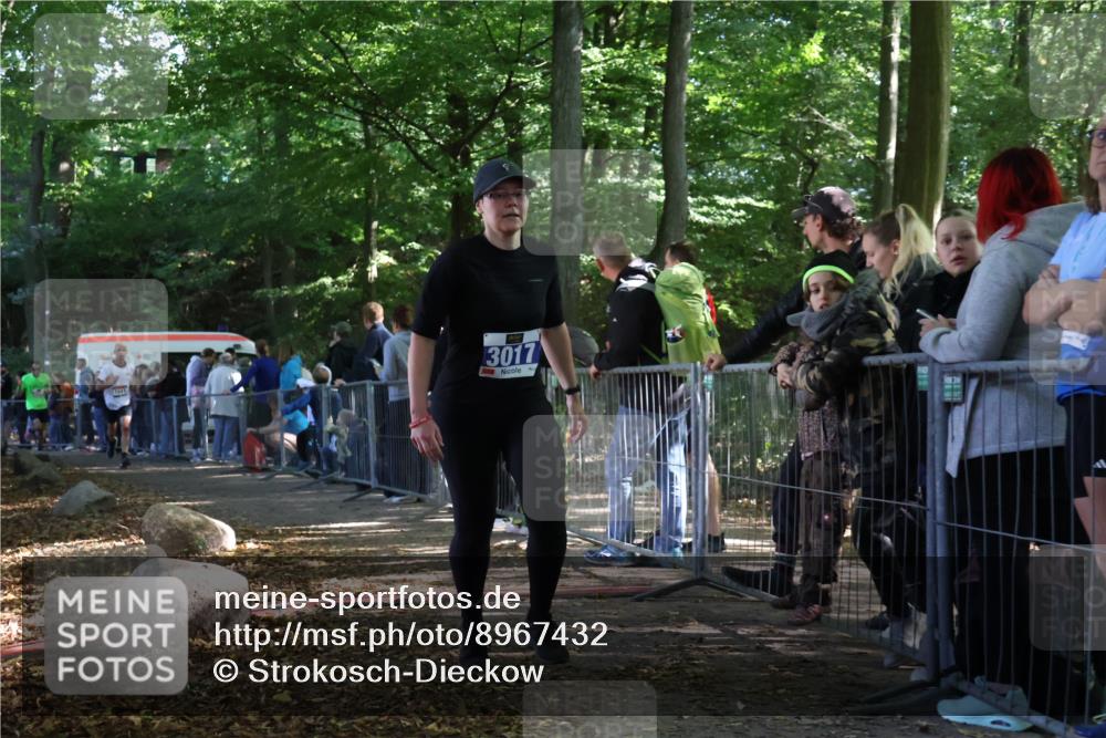 28.09.2025 - 33. Volkslauf durch das schöne Alstertal Strokosch-Dieckow http://msf.ph/oto/8967432 28.09.2025 11:42:13 Ziel 1541, 2506, 3017 meine-sportfotos.de
